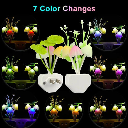 LED Decorative Socket Lights